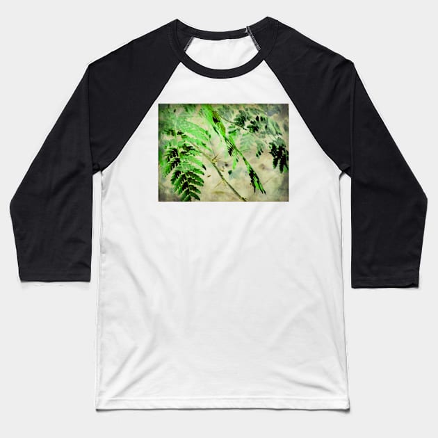 December Fern Baseball T-Shirt by WesternExposure